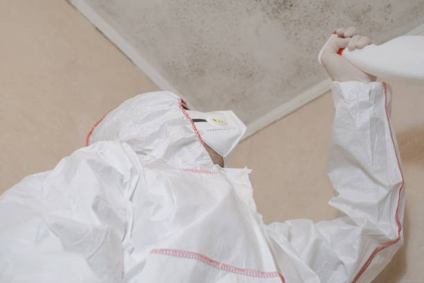 Best Local Mold Removal Service  in Waialua, HI